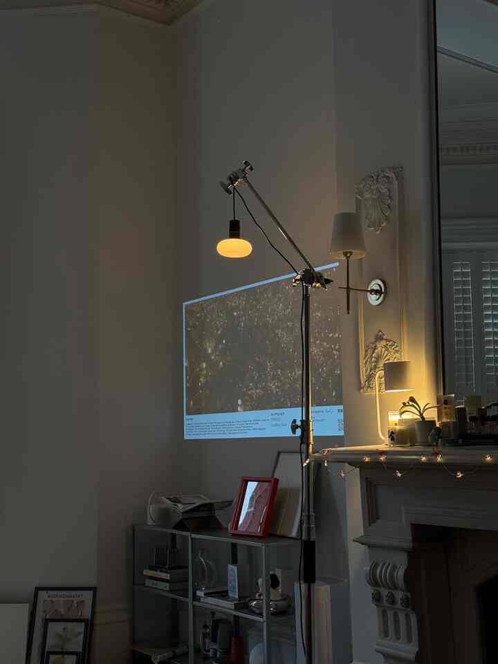 White-walled studio apartment living room featuring transparent shelving, floor lamp, wall sconces, and string lights creating a cozy atmosphere