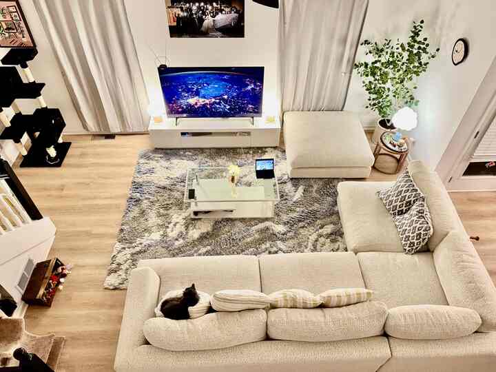 White and brown toned living room featuring sectional sofa, TV, plant, and rug with a cozy simple modern vibe