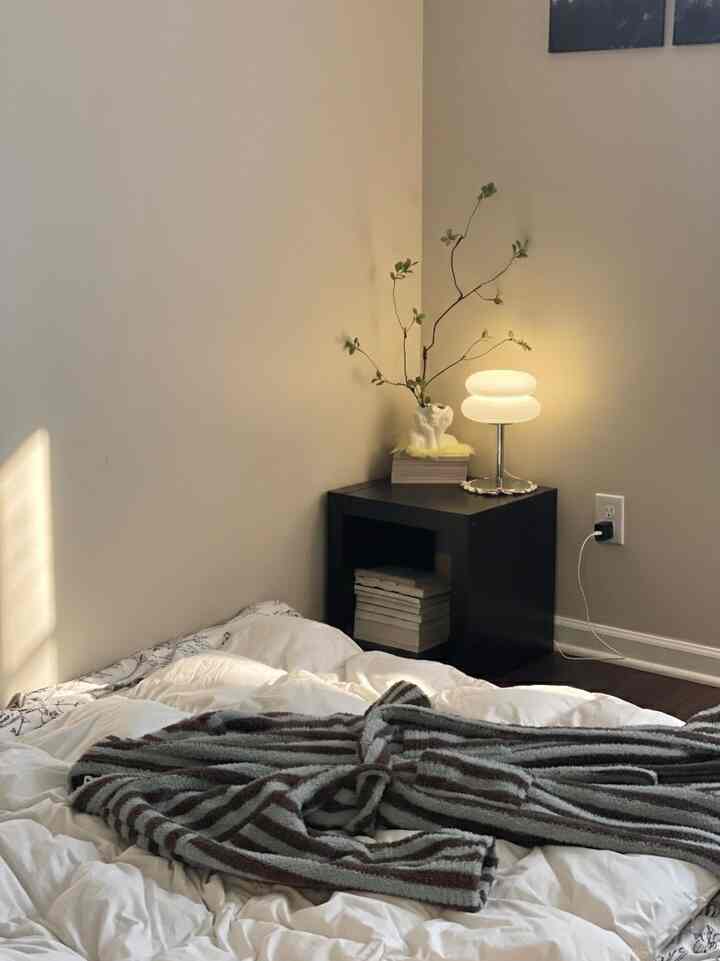 My husband’s favorite sanctuary. A small room where, claiming the world beyond the blankets is perilous, he showers, returns to bed, and reads.

#OhouseLight #OhouseGather #OhouseGlow #OhouseChange #OhouseCare #Ohousecleanse #NewYearReset
