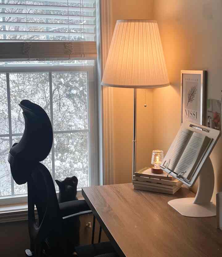 Cozy home office space with soft white and brown tones featuring a desk, floor lamp, and a snowy view outside the window