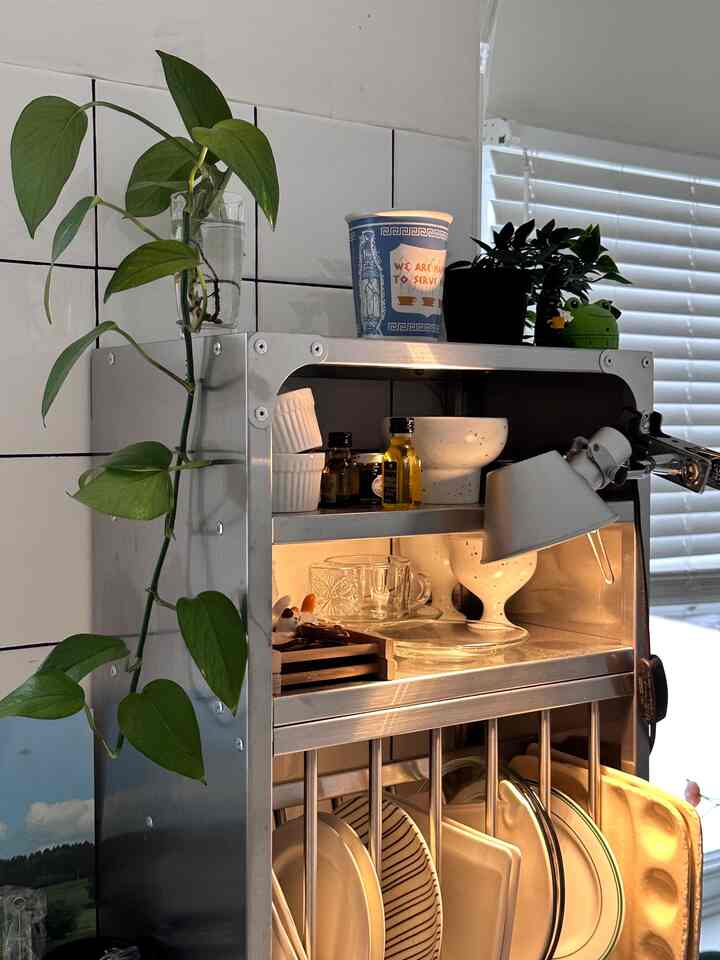Evening vibes with soft lighting and trailing vines. There's something so calming about this mix of metal and nature 🩶✨



#OhouseLight
#OhouseGather #OhouseGlow #OhouseChange #livingroom #kitchen #light #lamp #cozy
