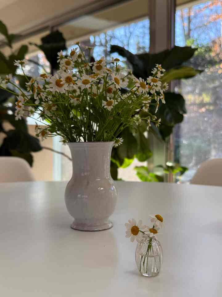 Chamomile on the table #springvibes #table #diningroom #diningroomdecor