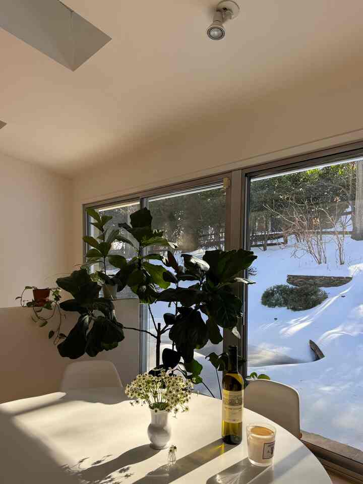 Winter white #diningroom #diningtable #doningroom #tabledecor #roomdecor