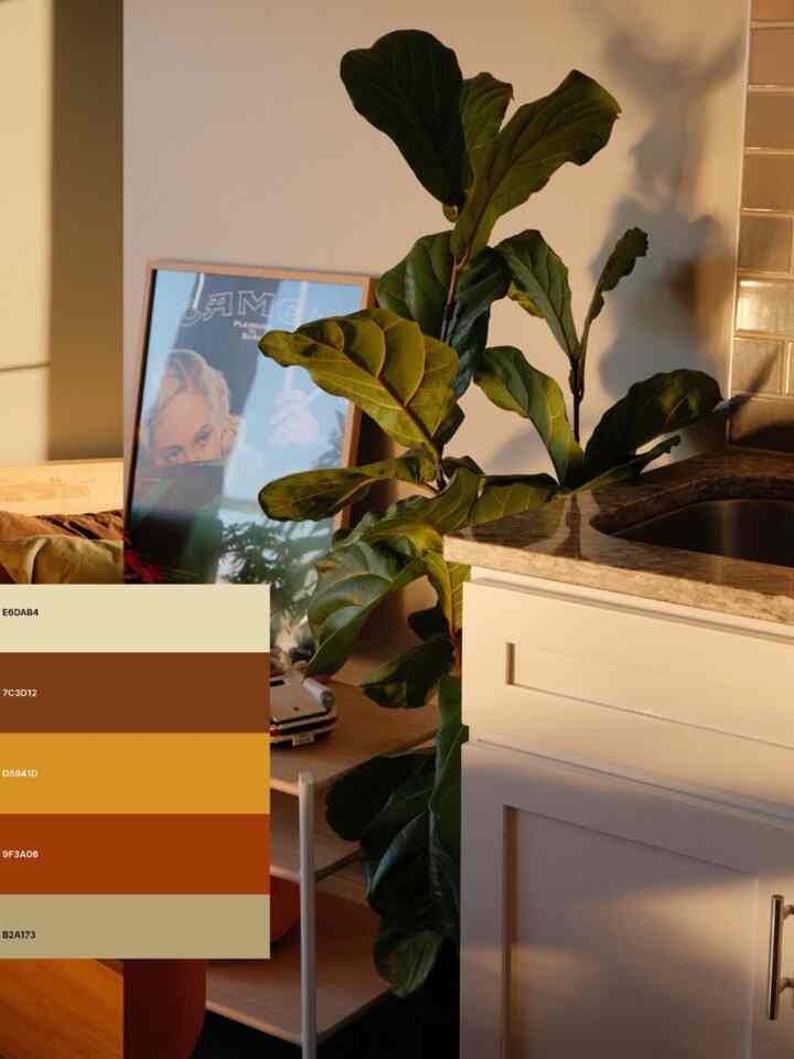 More snippets from my colorful home :)

#OhouseLight #OhouseGlow #plantcollection