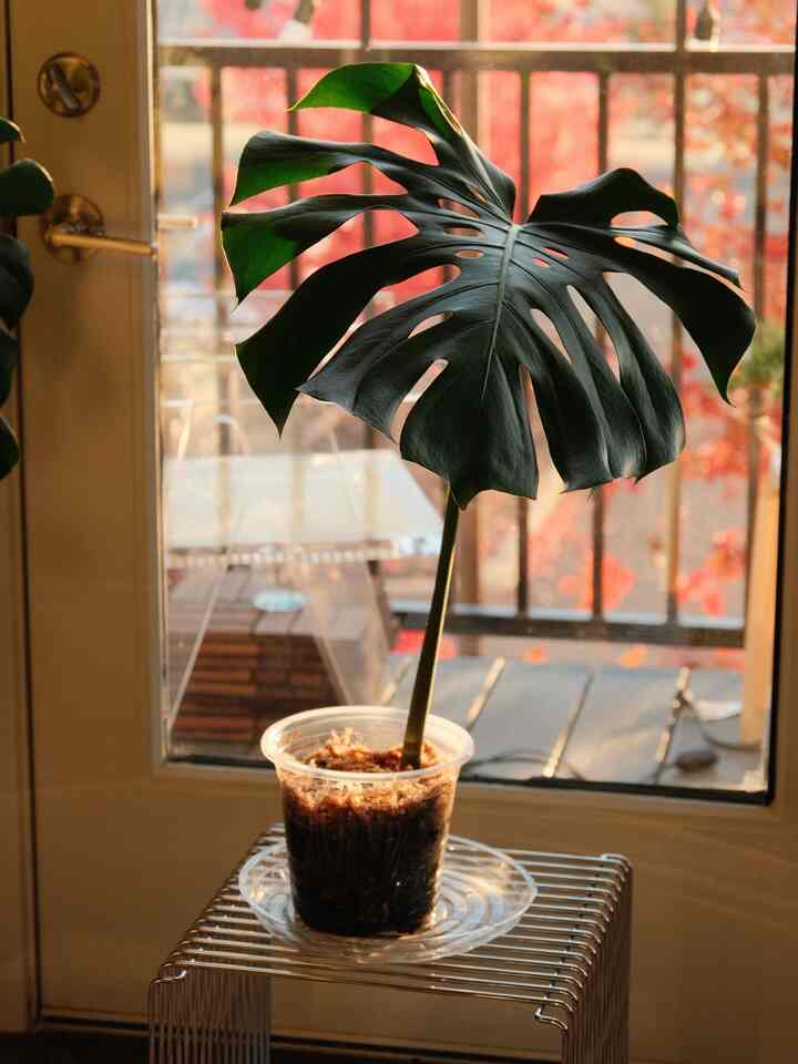 Missing the Fall glow and the Fall colors :)

#OhouseLight #OhouseGlow #Lampcollection #warmcolors