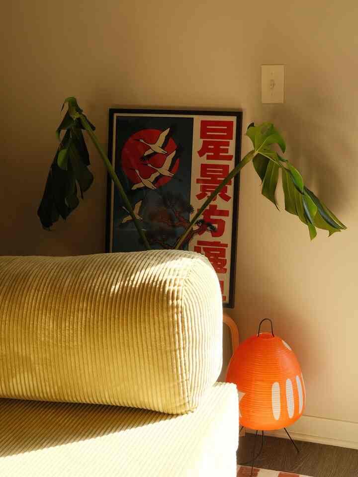 Longing for the summer sun that will make my bonsai tree grow and grow :)

#OhouseLight #OhouseGlow #warmglow #warmapartment