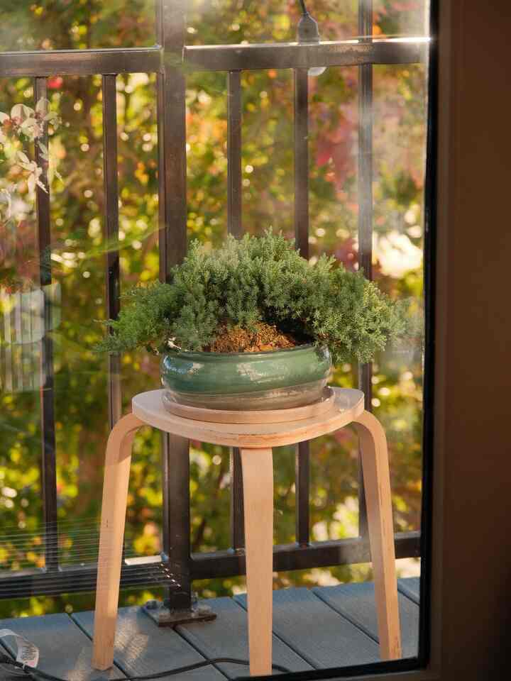 Wood tone stool with green plant on a balcony space, creating a warm and natural atmosphere
