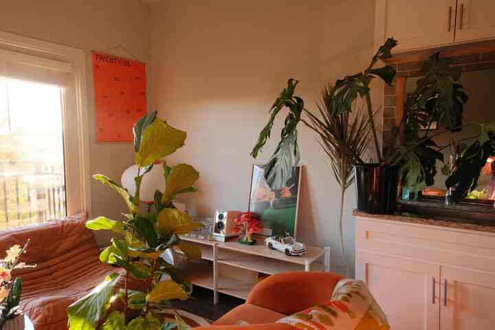 Plant watering days :) 🪴🚿

#plantlover #plantdecor