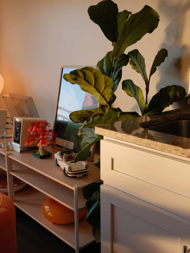 Does anyone else still decorate with LEGO sets? They remind me of my childhood, and I always love adding them here and there :)

#playfuldecor #mylivingroom 