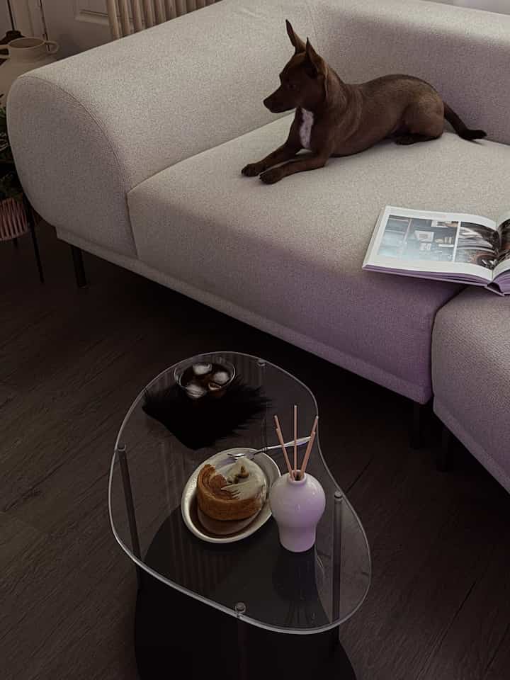 Tagged posts featuring Stainless Steel Oval Plate 3