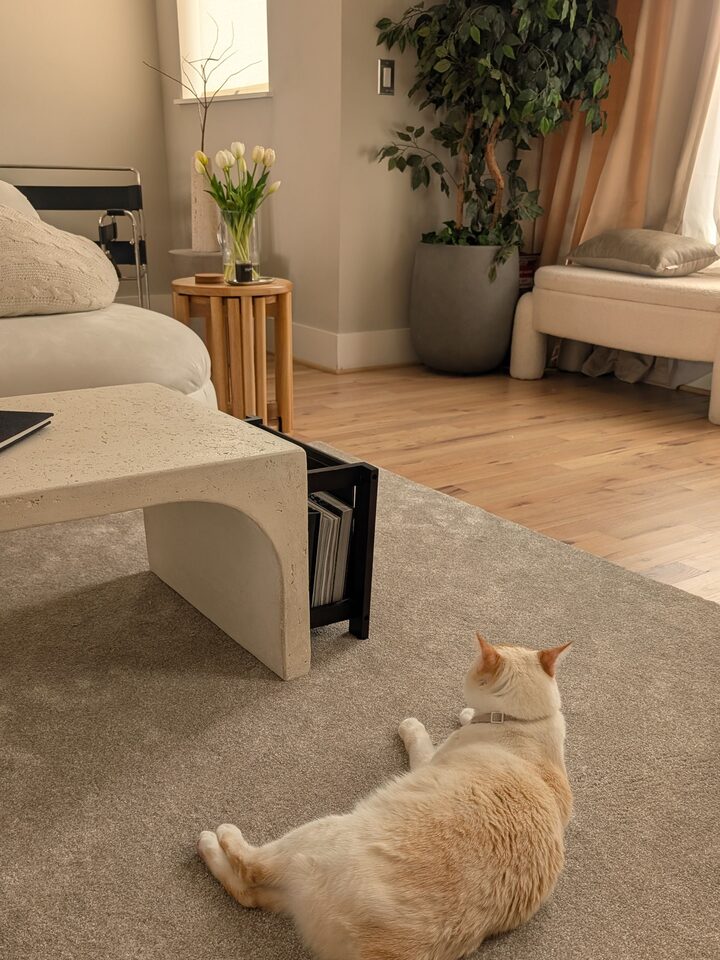 short form carousel card thumbnail