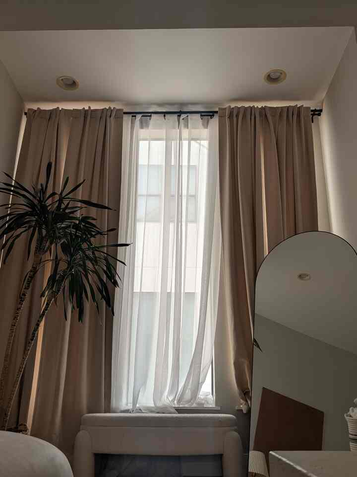 Obsessed with my new dragon tree 🐉 🌴 #plant #living #curtains