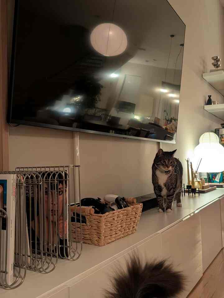 Beige and white toned living room featuring a large TV, paper lamp, and a cat on the cabinet