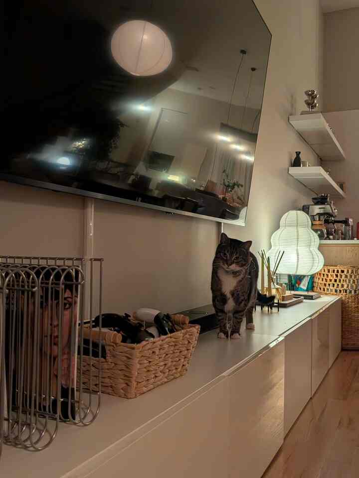 Warm white-toned living room featuring a cat standing on a clean TV stand and a Noguchi paper lamp, showcasing a Japandi style interior