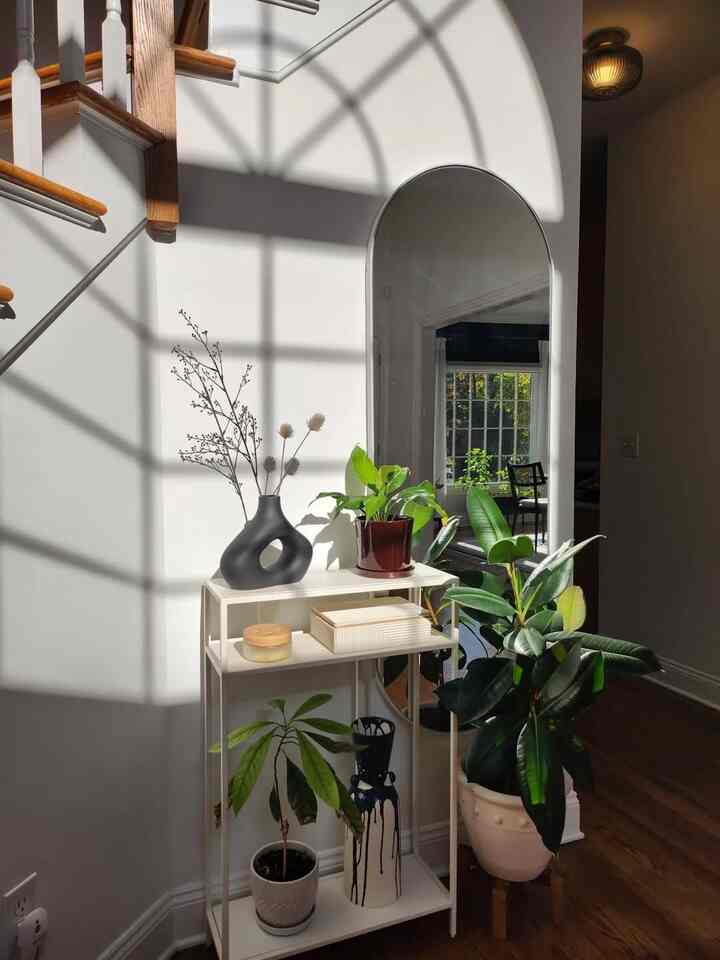 Bathed in the sun's full embrace.
#foyer #welcomeyomyplace #consoledecor #plantlover
