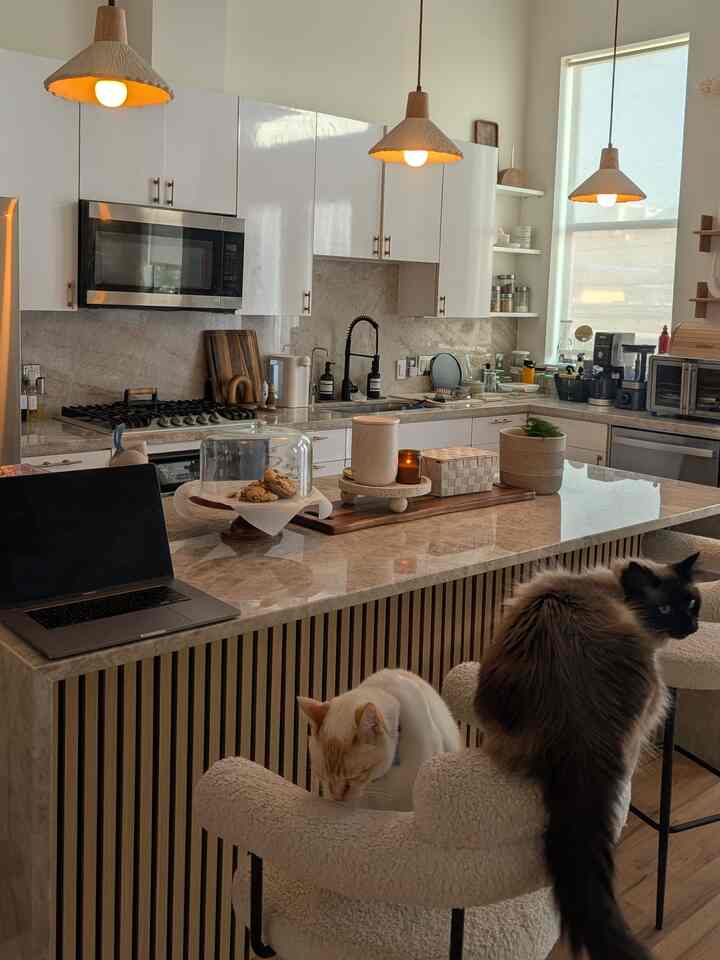 The kitties love to hang out while working from home and cooking!

#cats #kitchen #cafe #cozy #natural