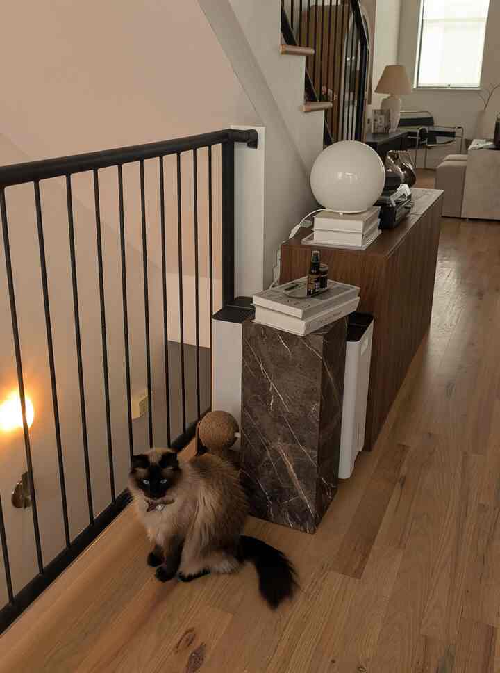Natural wood-tone living room featuring a cat sitting near black railing with sideboard and table lamp arranged in cozy interior