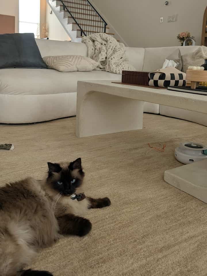Natural-toned living room featuring beige rug, ivory sofa, and concrete coffee table with a cozy atmosphere
