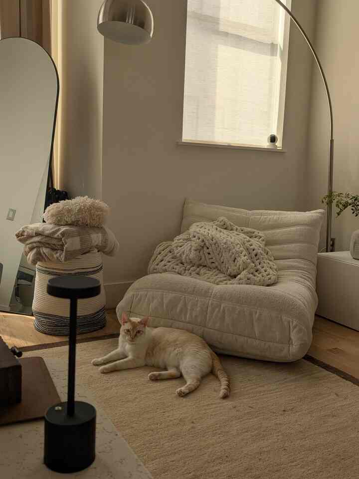 Beige-toned living room featuring a beige rug, a relaxed cat on the floor, and a cozy armchair