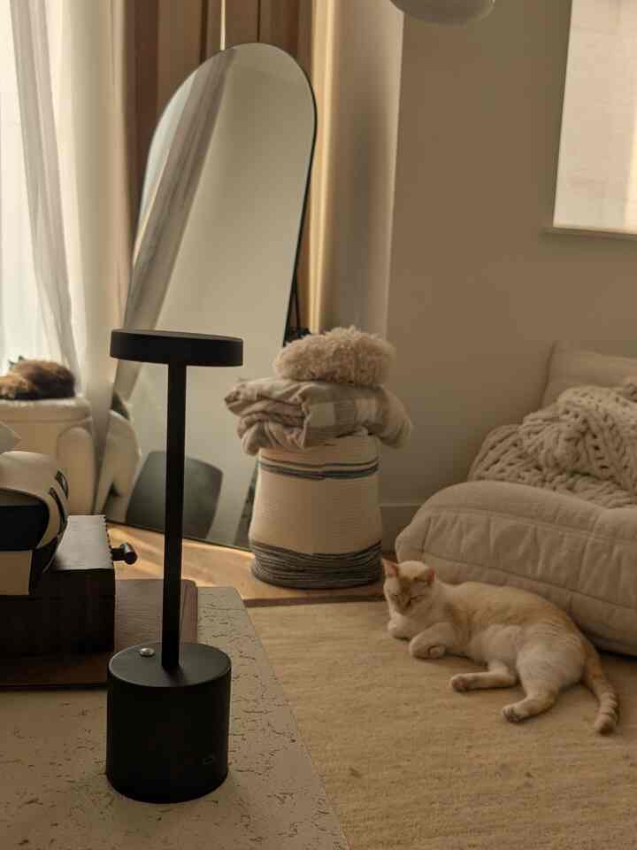 Warm beige and white toned living room featuring two cats, a cozy sofa, and an arched full-length mirror creating a comfortable atmosphere