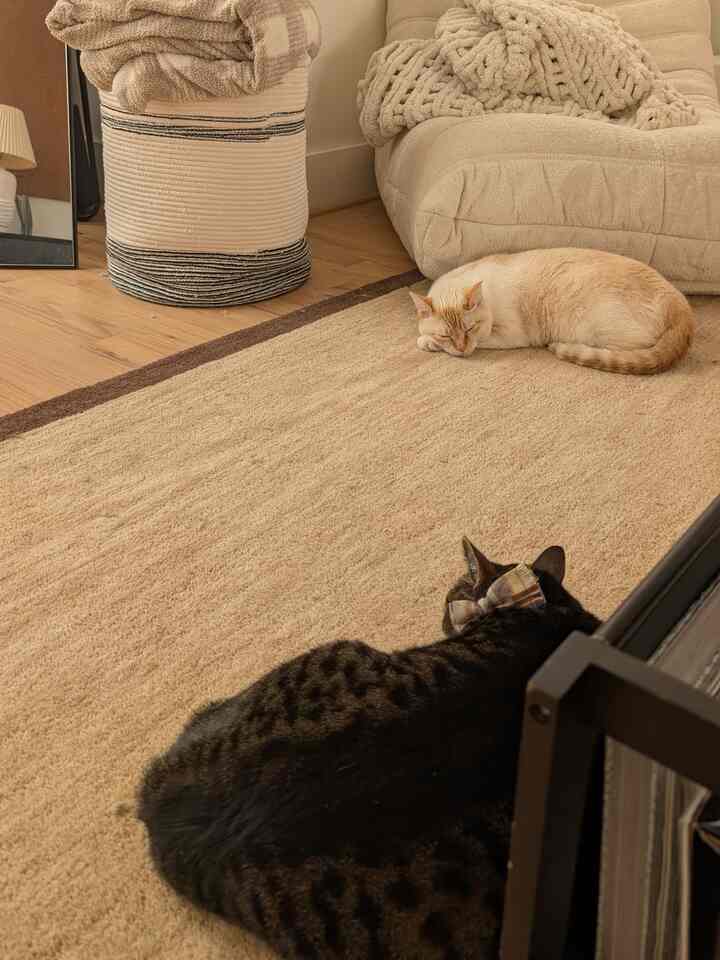 Beige and brown toned living room featuring a rug, armchair with a blanket, and two cats comfortably resting, creating a natural cozy atmosphere