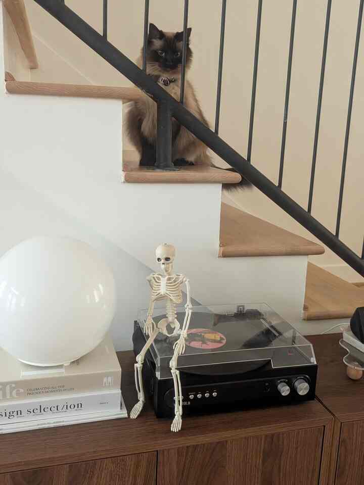 Living room with white walls and wood tone furniture featuring a cat sitting on wooden stairs and a skeleton decoration placed on a wooden cabinet