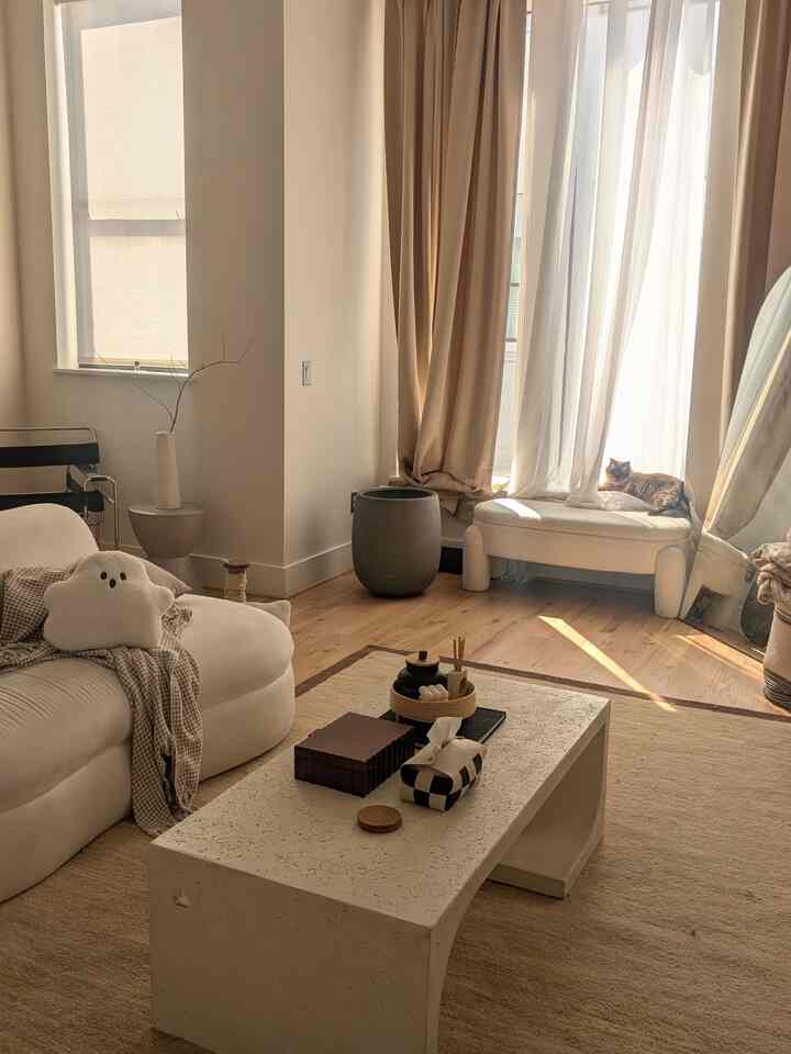 Beige and natural toned living room featuring an arched mirror and a cat in a sunlit cozy space