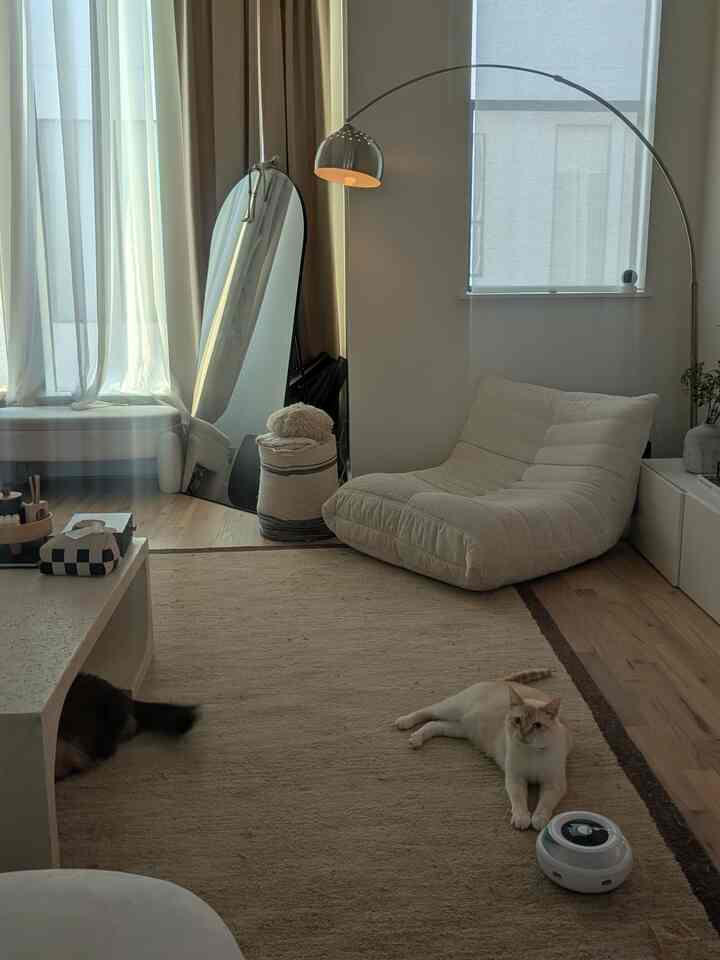 Beige and wood-toned living room featuring an arched floor lamp and full-length mirror, with two cats relaxing in a cozy atmosphere