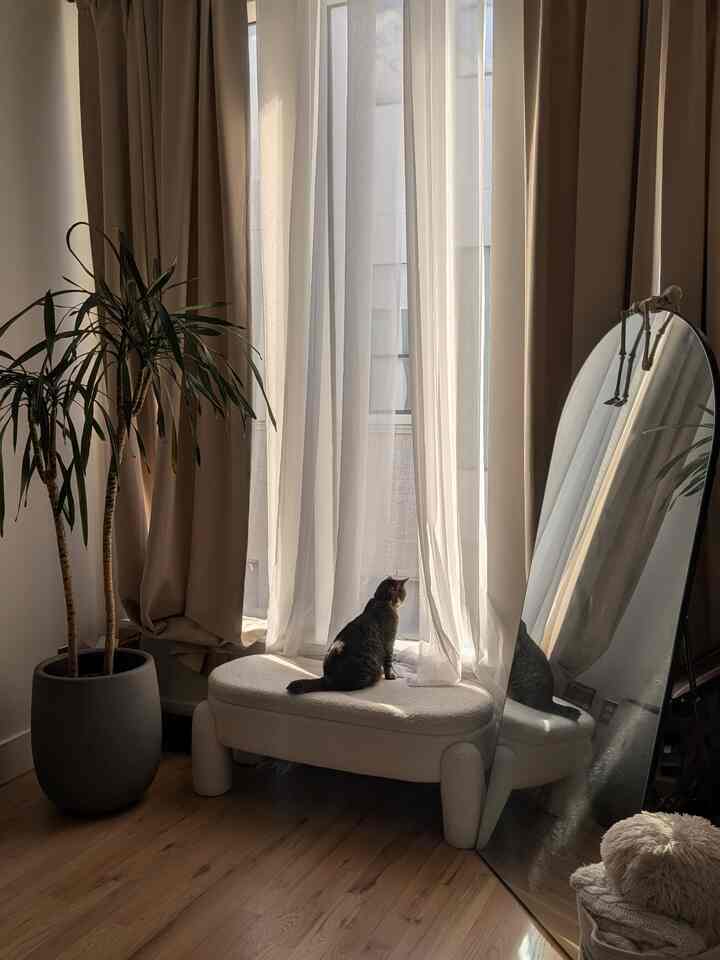 Quietly and patiently waiting for his cat parents to come home 🏡🐱

#cat #curtains #neutral #highceiling #livingroom