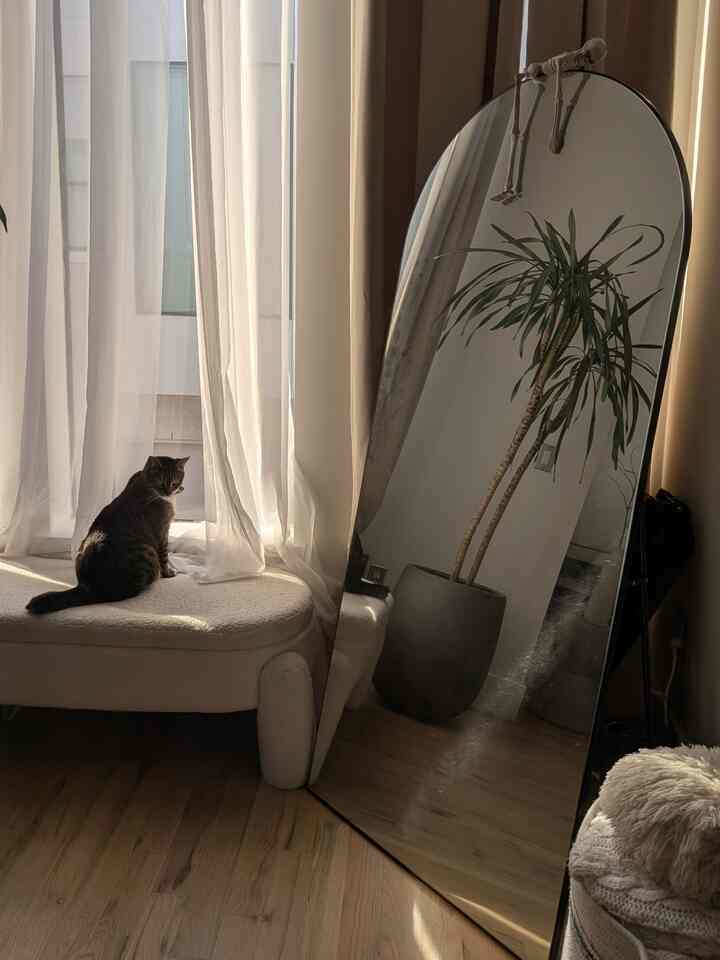 A warm wood-toned room featuring cream blackout curtains, an arched full-length mirror, and a cat sitting by the window