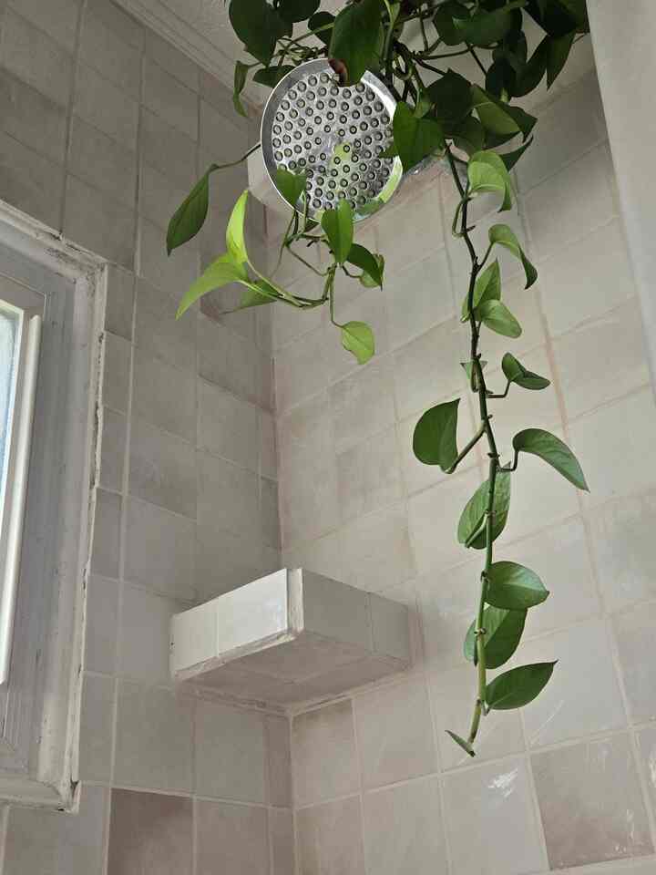 #bathroom #rustic #pueblo #boho #shower