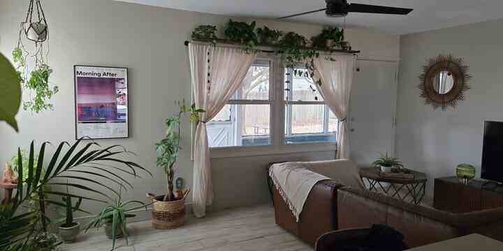 #livingroom #living #room #boho #plants #plantas