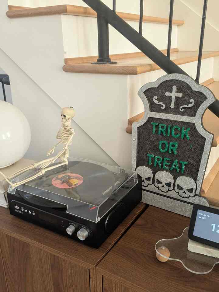 The spooky times are right around the corner! 

#skeleton #halloween #decor #livingspace