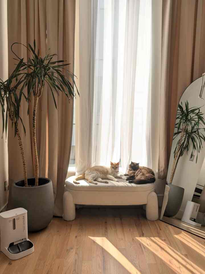 Beige and white toned living room featuring an ottoman with two cats resting in a cozy atmosphere