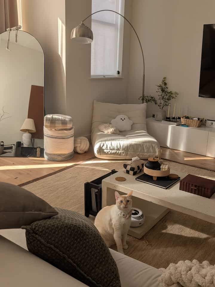 Warm natural-tone living room with ivory sofa, beige rug, arched mirror, and a cat creating a cozy atmosphere