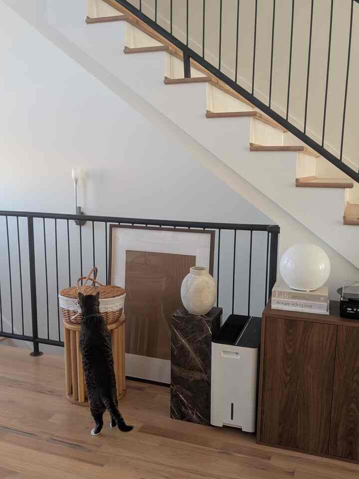 Transitioning the home to a fall atmosphere and new decor! 🍁🍂

#fall #autumn #wood #decor