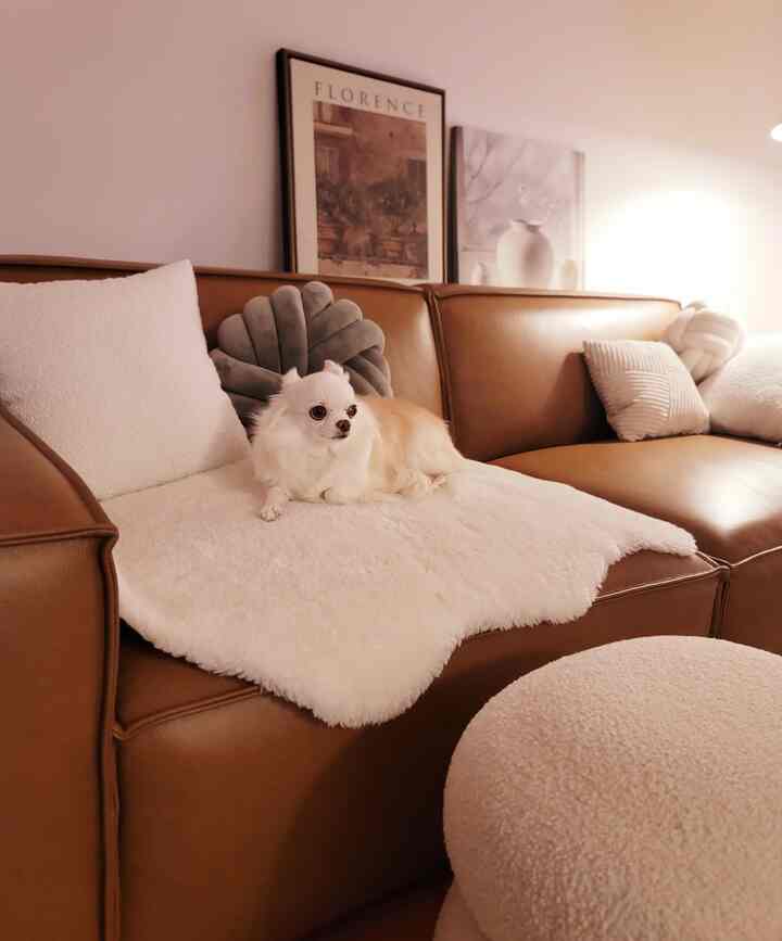 Beige and brown toned living room featuring brown leather sofa and cream-colored stool with a small dog resting comfortably on the sofa
