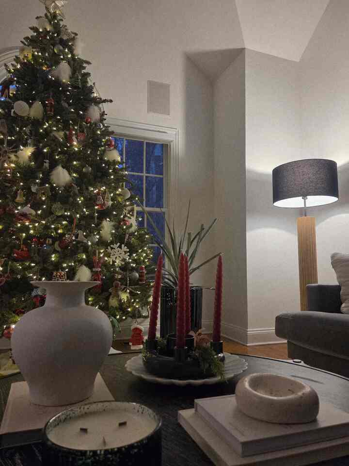 Quiet night. moody night. 
Late afternoon in the winter. 
#christmasdecor #wintermood