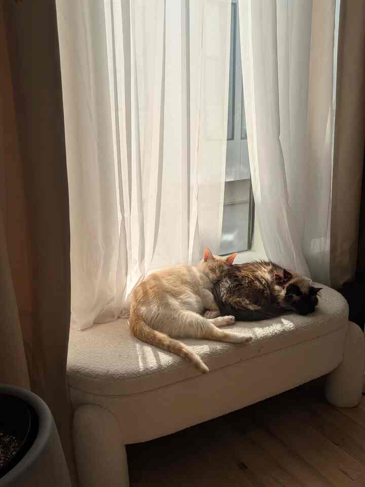 Tagged posts featuring No. 918 Store Emily Sheer Voile Tab Top Curtain Panel (Multiple options) 2