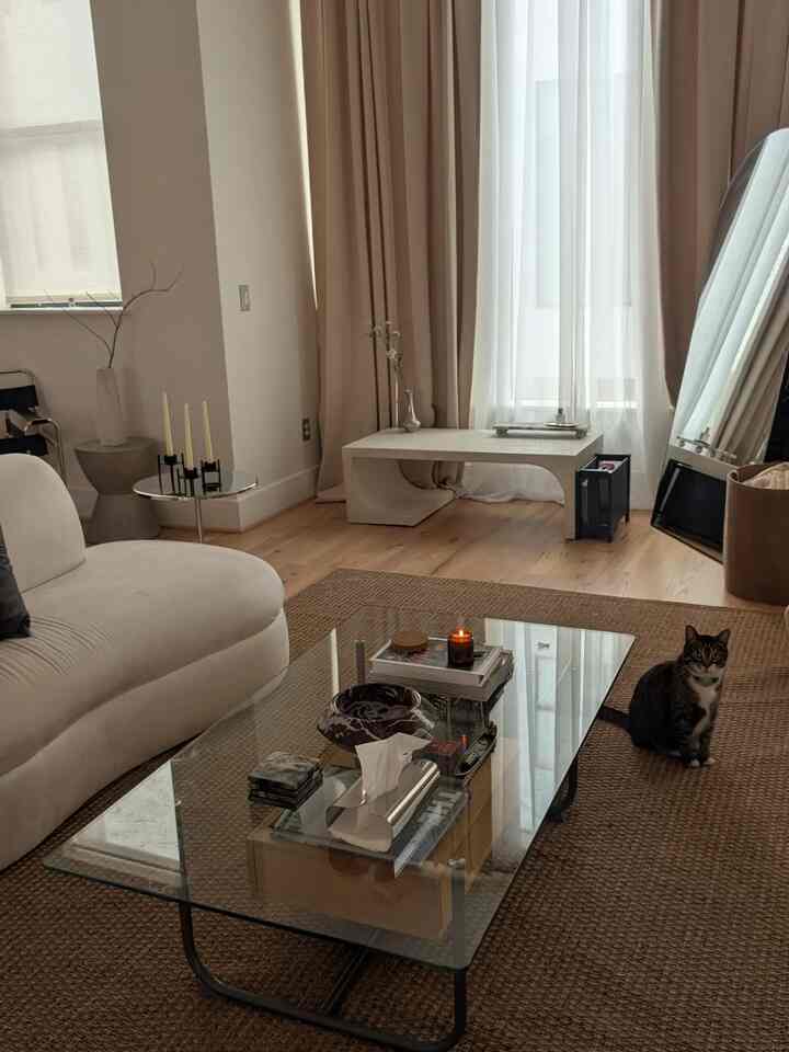 Light brown floored living room with beige curtains, featuring a glass coffee table, white sofa, and a cat for a cozy atmosphere