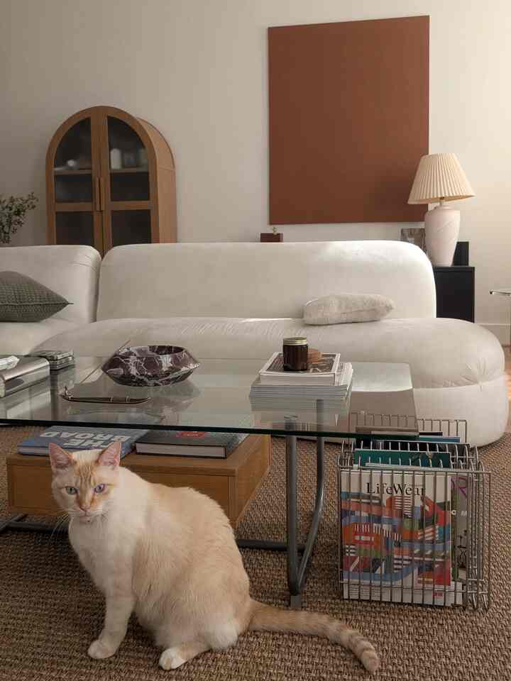 Good morning from my kitty, Kumo ☀️ 😺 

#mornings #livingroom #coffeetable
