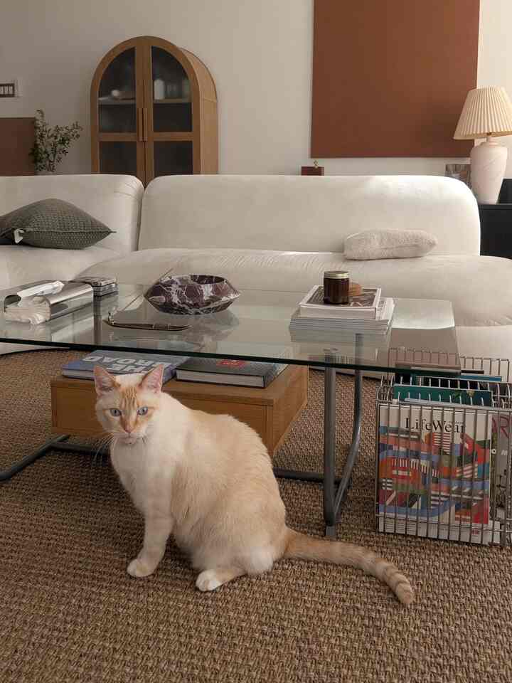 A beige and white toned living room featuring a large sofa and glass coffee table with a cat sitting on the rug creating a cozy atmosphere