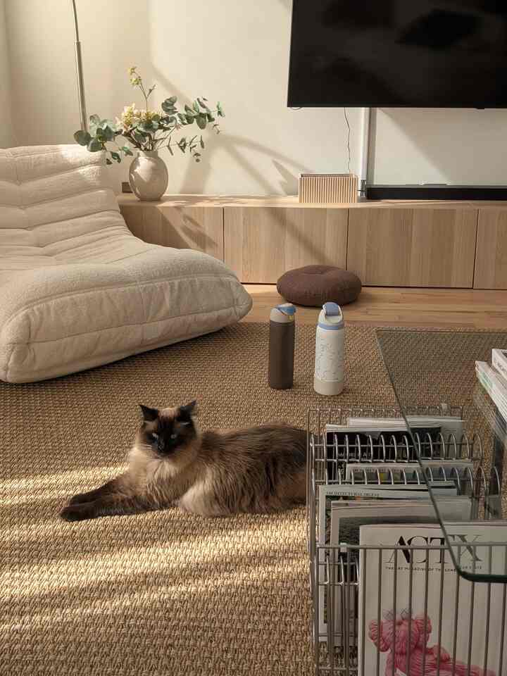 Trying to make the home even more cozy and warm 🌄

#cats #warm #brown #wood