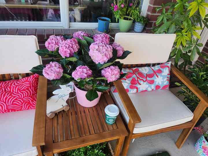 A balcony space with pink hydrangeas and wood-toned furniture featuring comfortable outdoor chairs and various potted plants in harmony