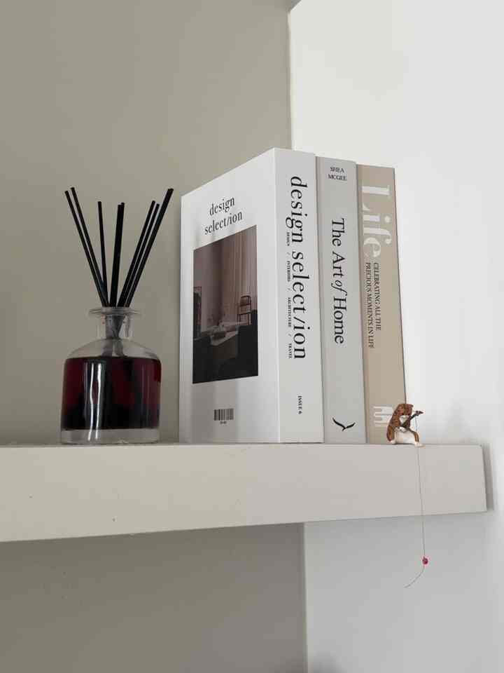 Close ups of the details and fun cat figurine placements to spice things up 💗 #decor #minimal #modern #modernhouse 