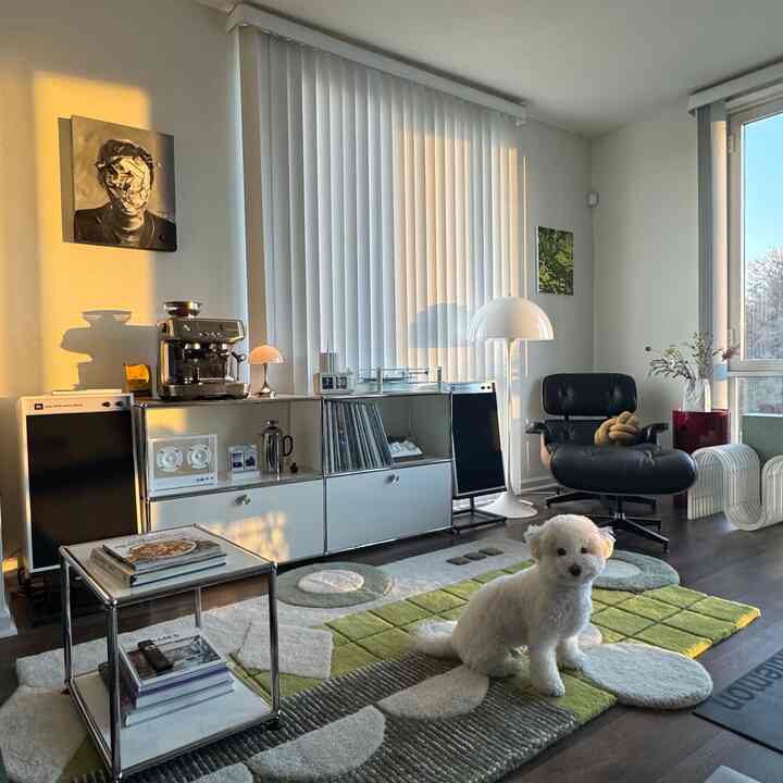 White and black toned living room featuring mid-century modern furniture and a dog, creating a cozy atmosphere