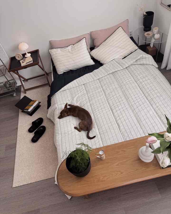 White and brown toned bedroom featuring a large bed, nightstands, and a resting dog for a cozy atmosphere