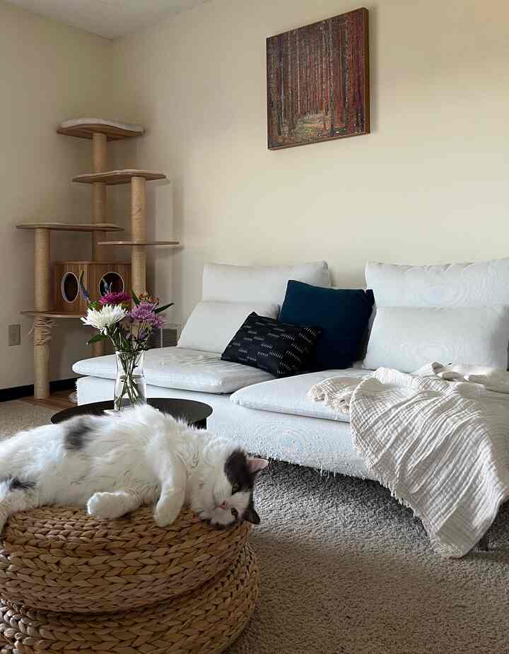 Beige-toned living room featuring natural material furniture, a cat tower, and a white sofa creating a cozy atmosphere