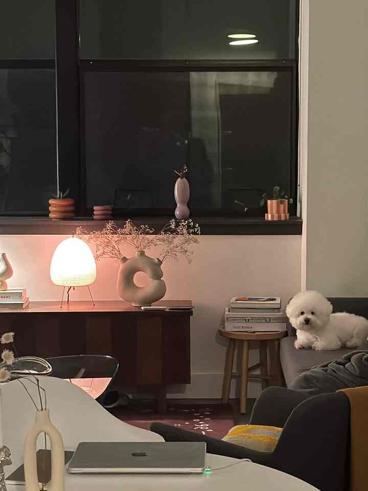 Cozy living room with warm orange lighting, modern sofa, a pet dog, and integrated home office setup