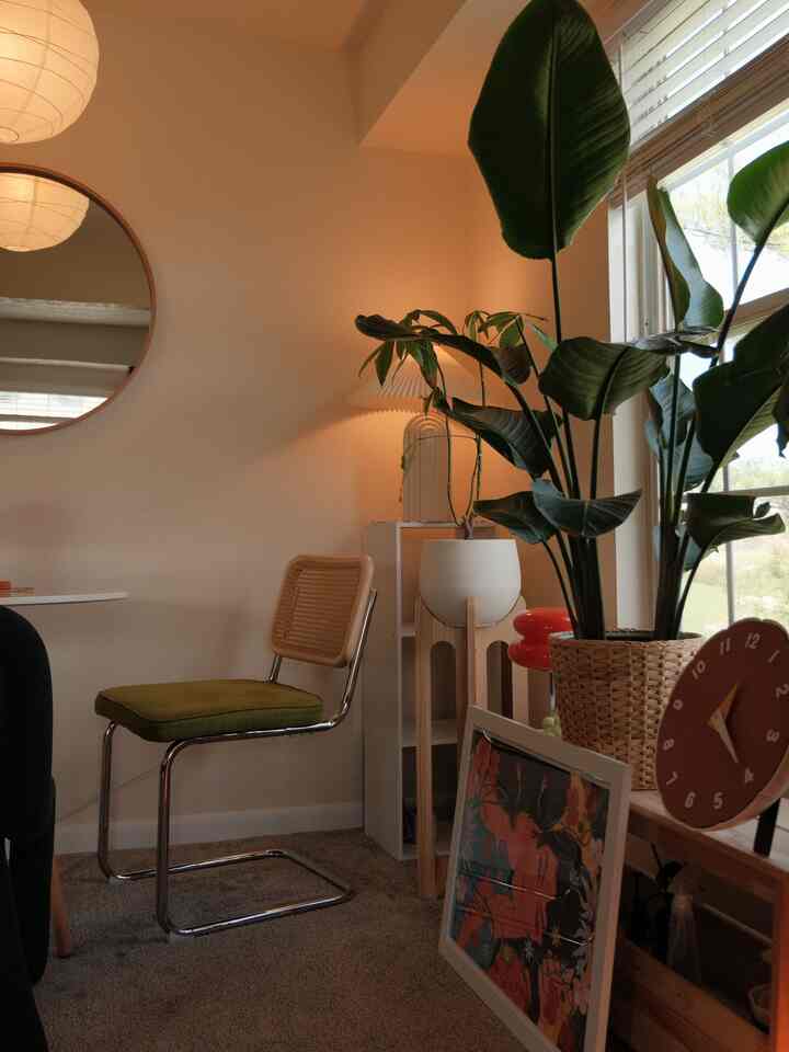 I’m pretty sure my birds of paradise is growing! Slowly but surely :)) 🌱 I’m so proud of her

#plantinterior #birdsofparadise #warmhome #warmfeeling